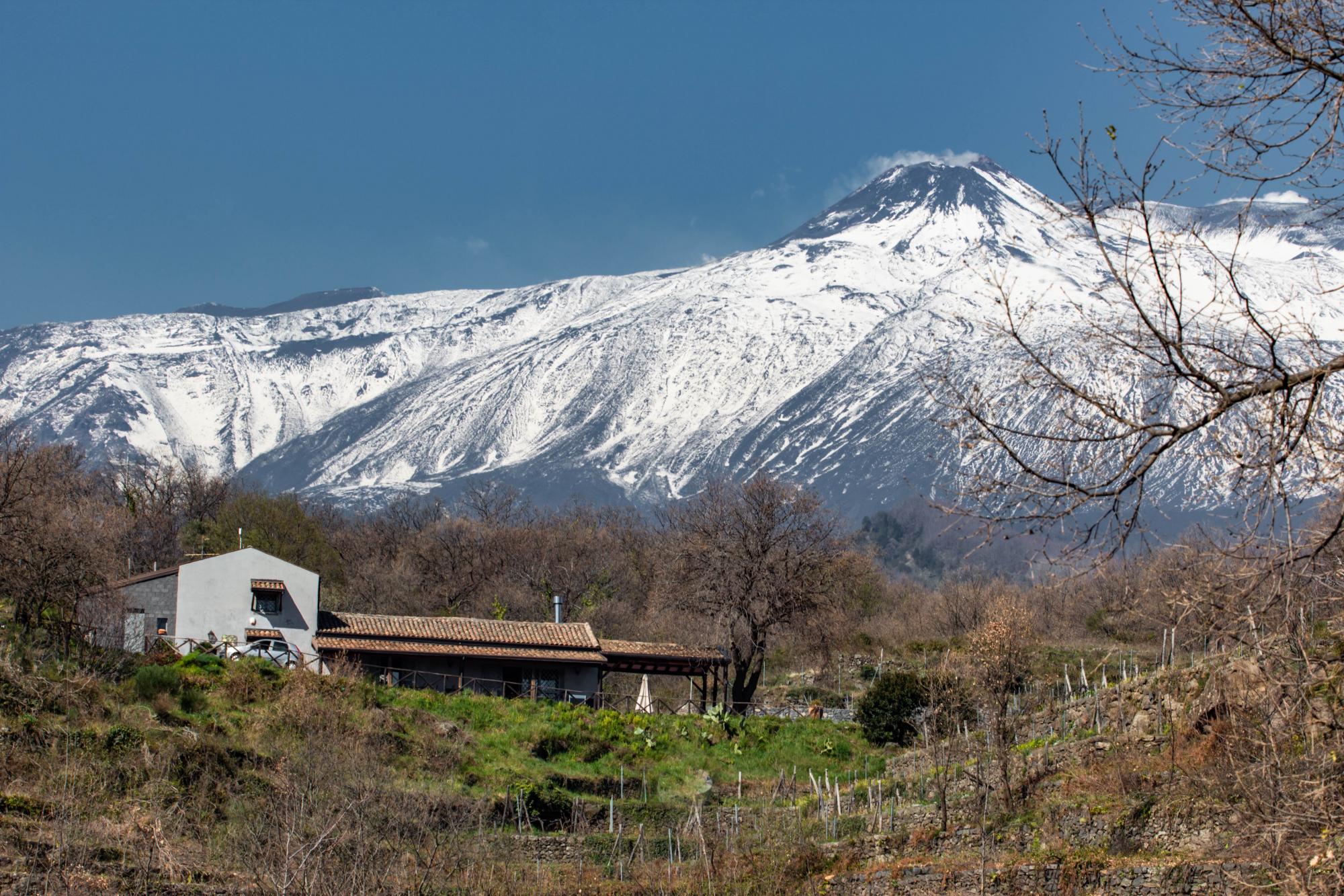 Бургундія, Тоскана та Порту. Де дегустувати вино в Європі: найкращі локації та маршрути